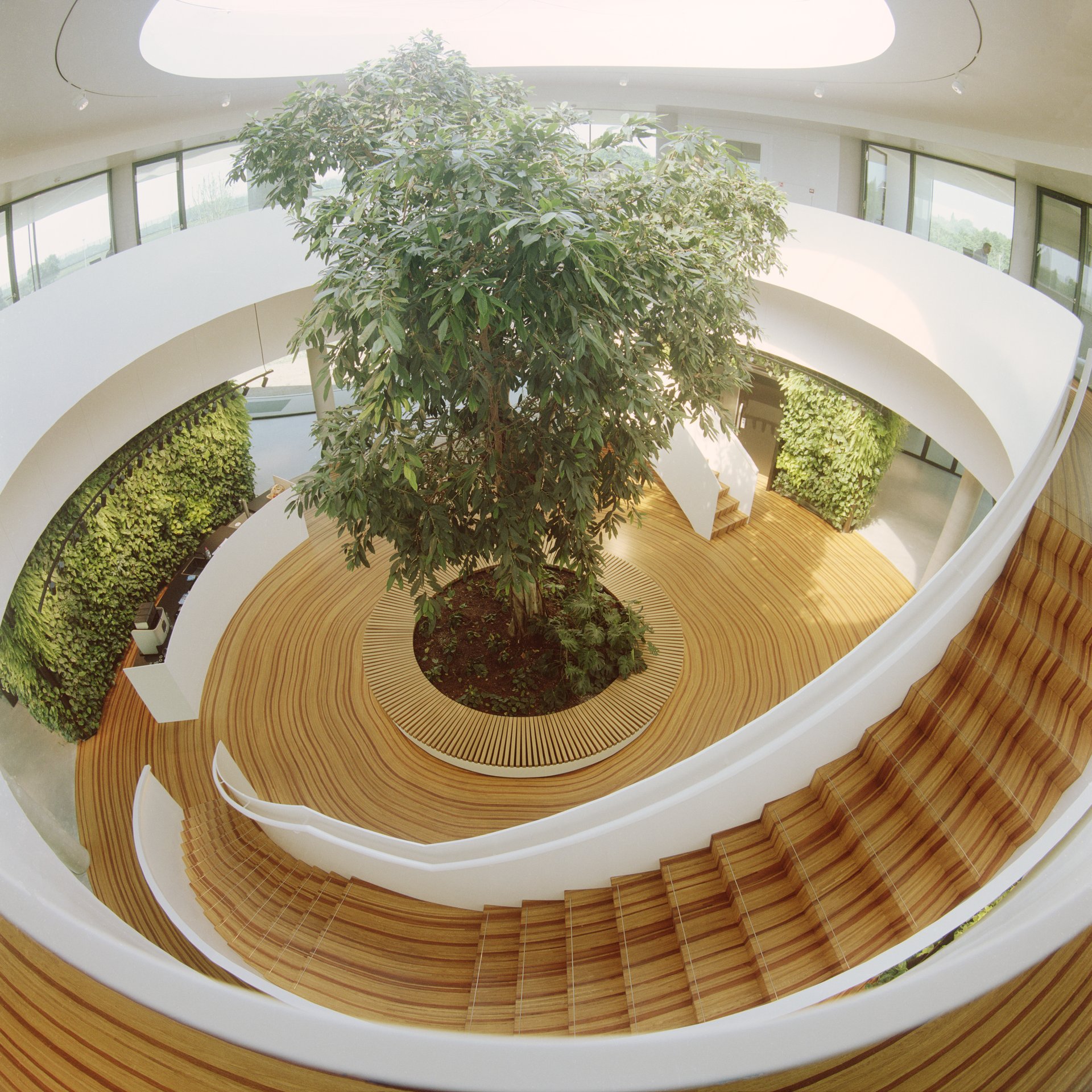 Monumental wooden art floor