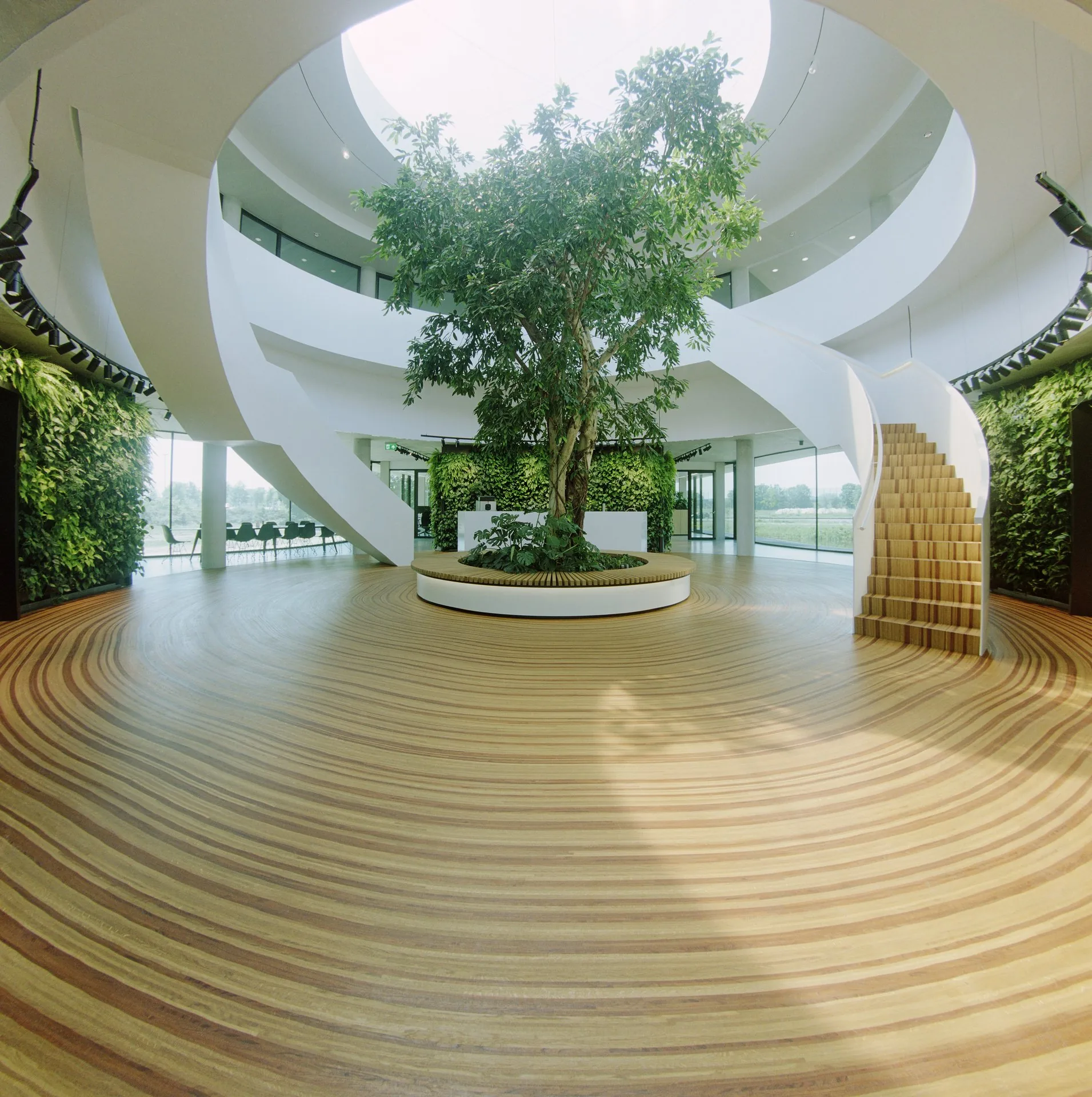 The INSSAEI art floor and sculptural wooden staircase at Krinkels