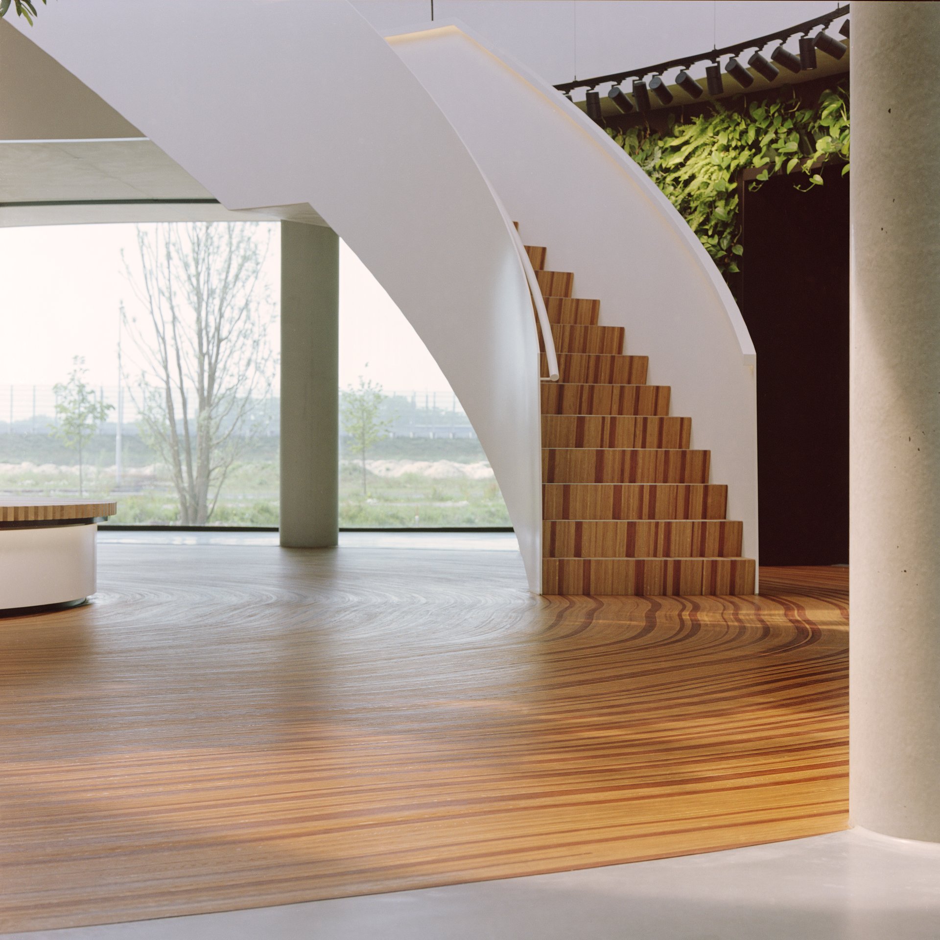 INSSAEI at Krinkels, photograph 05
