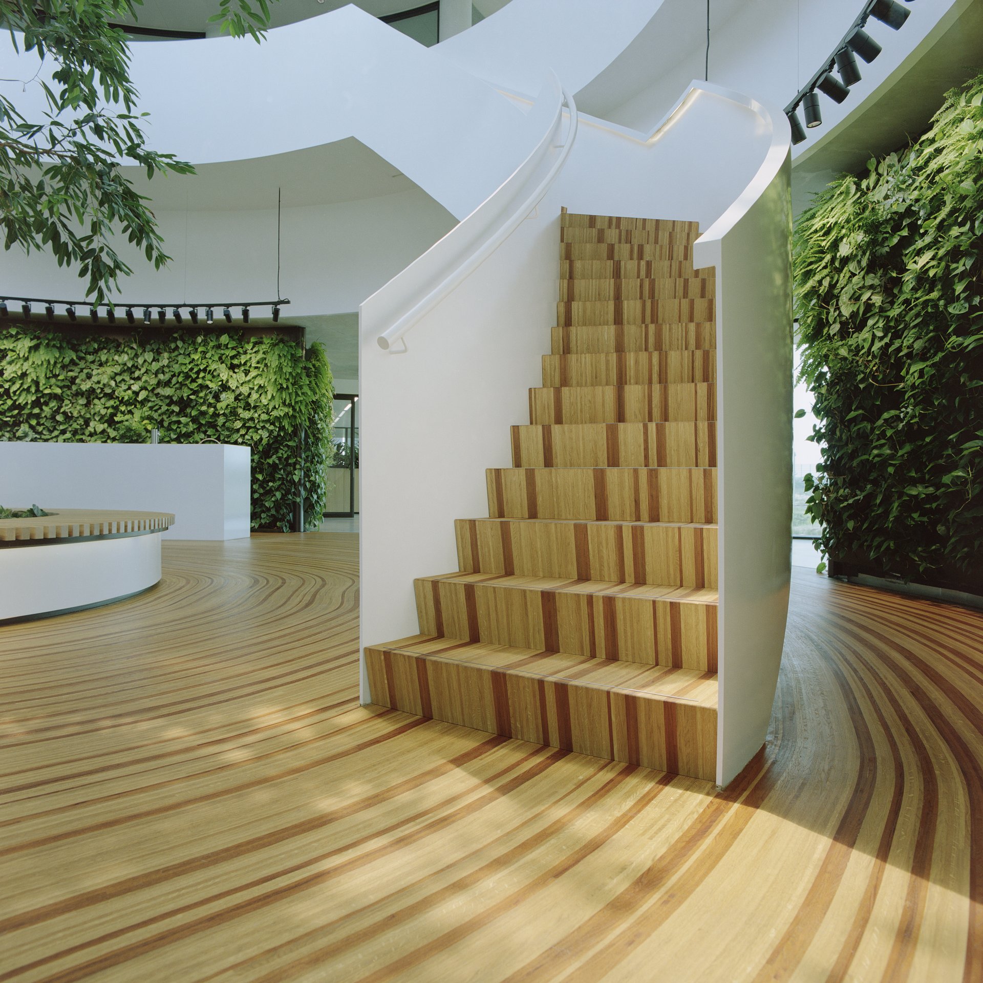 INSSAEI at Krinkels, photograph 07